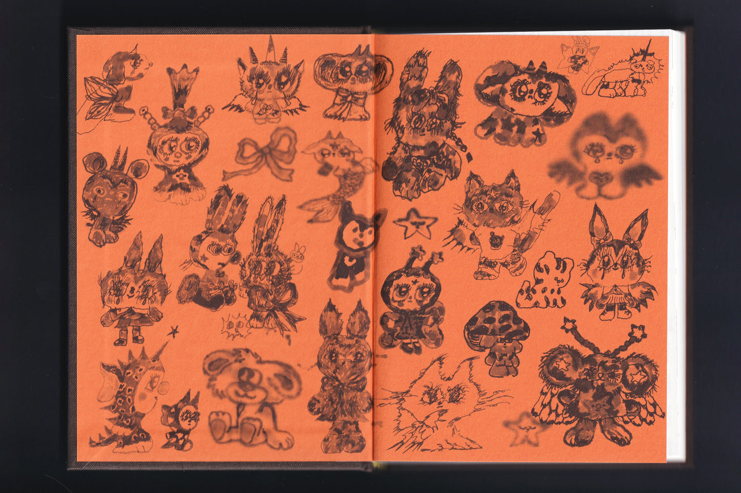 SSEWBA book